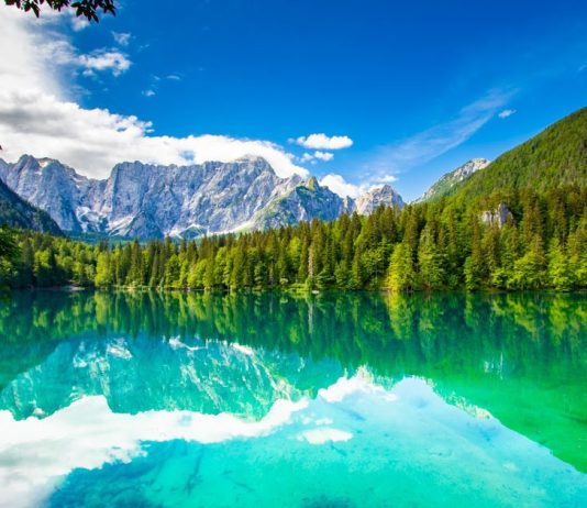 Campo Famiglie 2026 a Fusine: una settimana per ritrovarsi, crescere e rigenerarsi